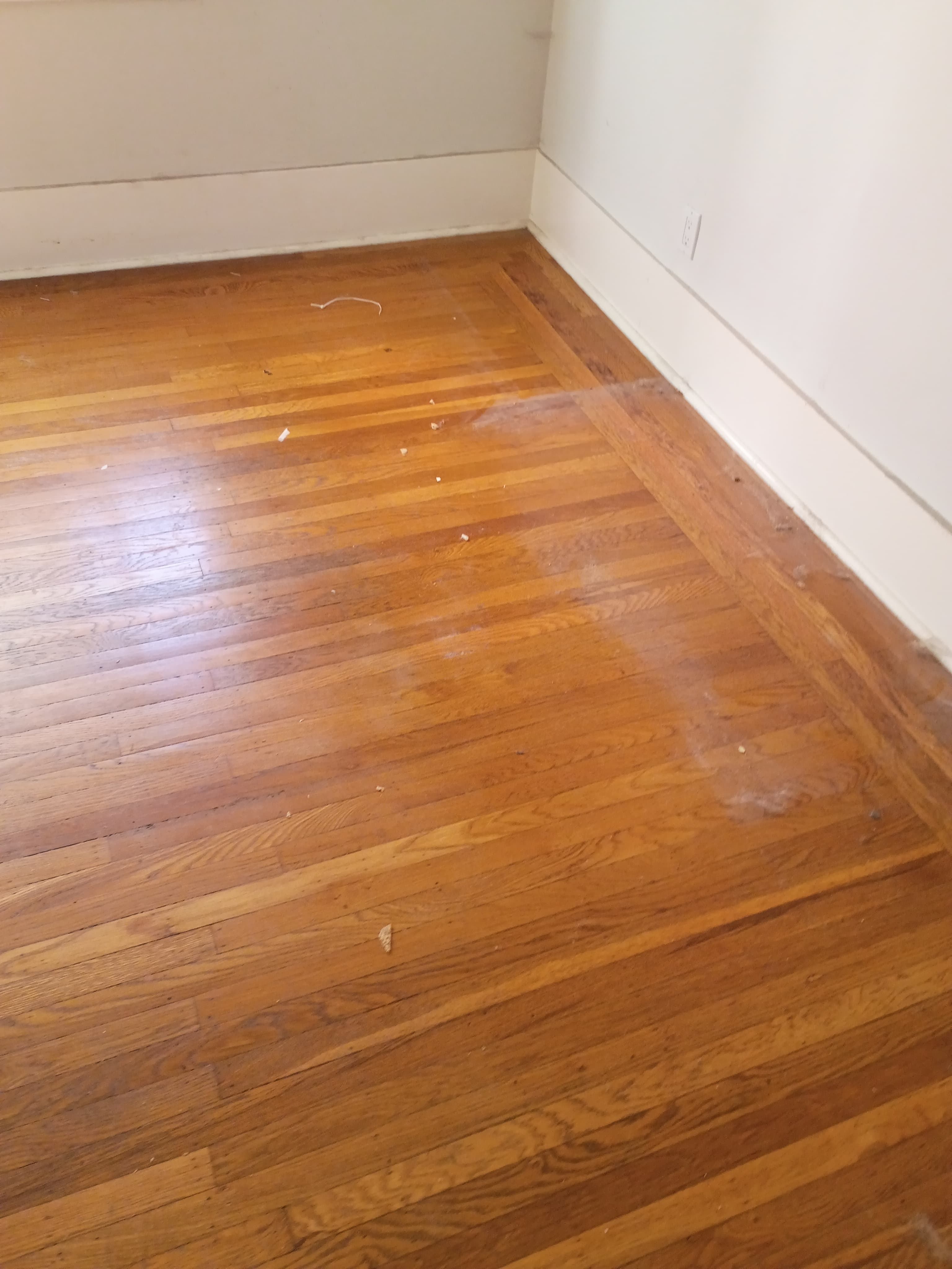 Apartment Cleanout after 1