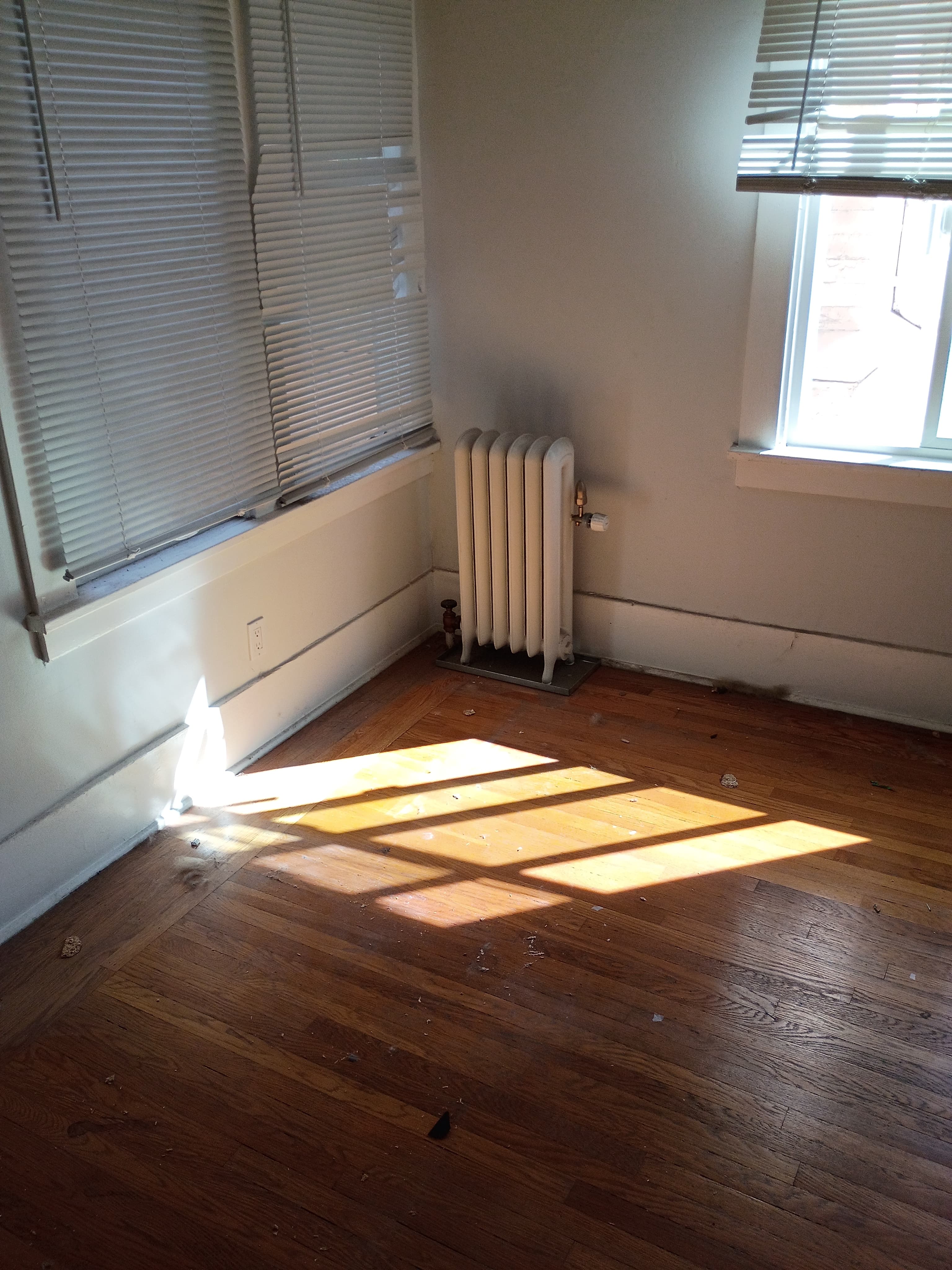 Apartment Cleanout after 3