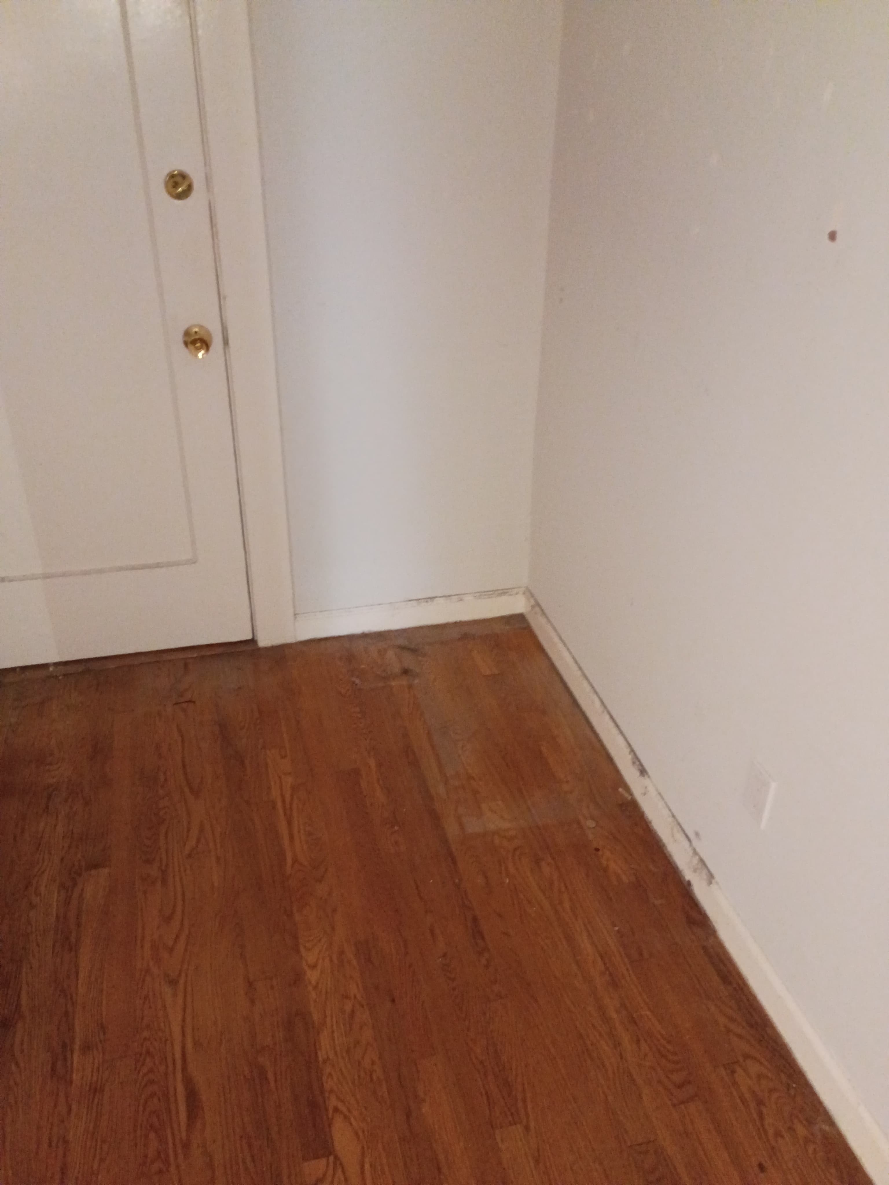 Apartment Cleanout after 5