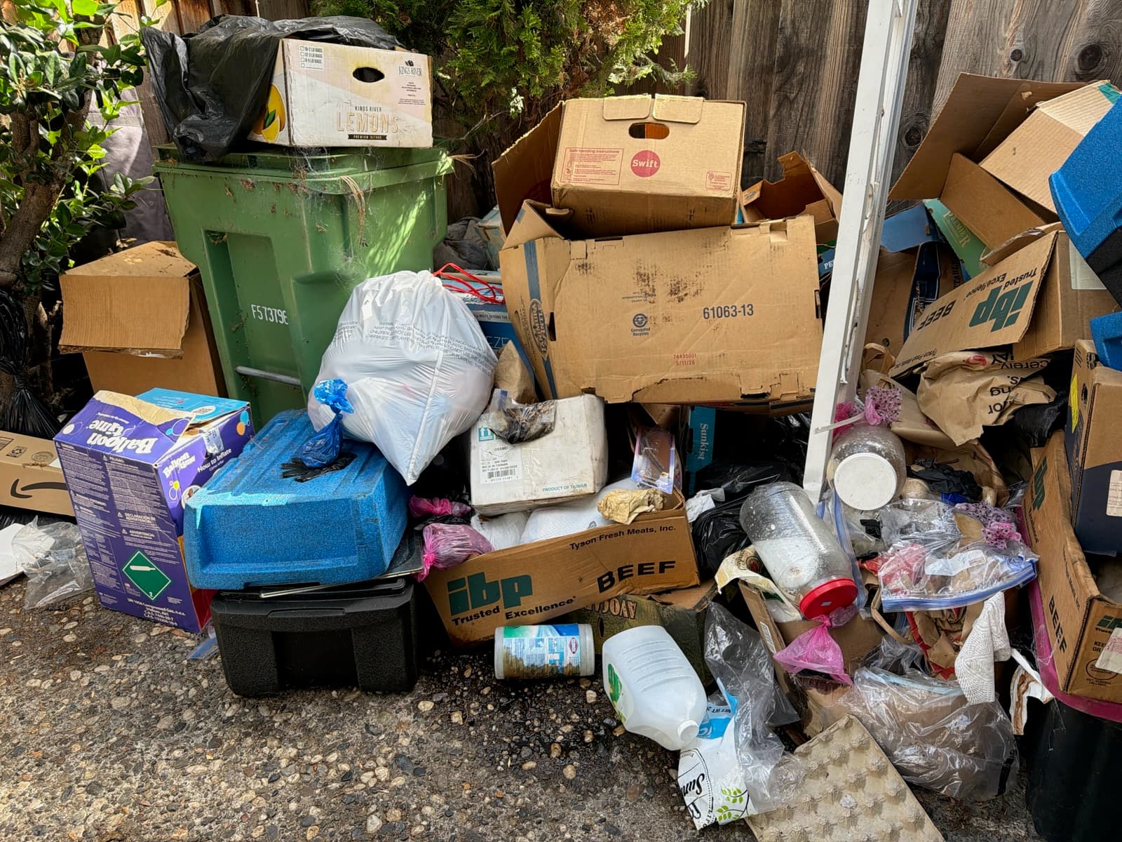 Backyard Cleanup Hayward before 1