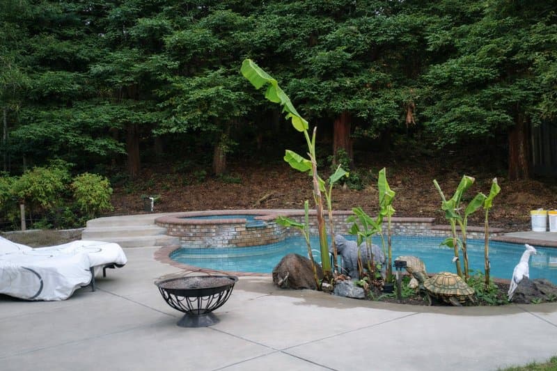 Pool Cleanup after - cleared up