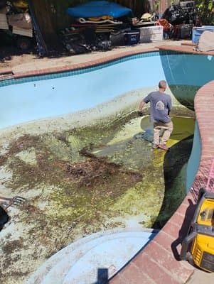 Pool Cleanup before 1