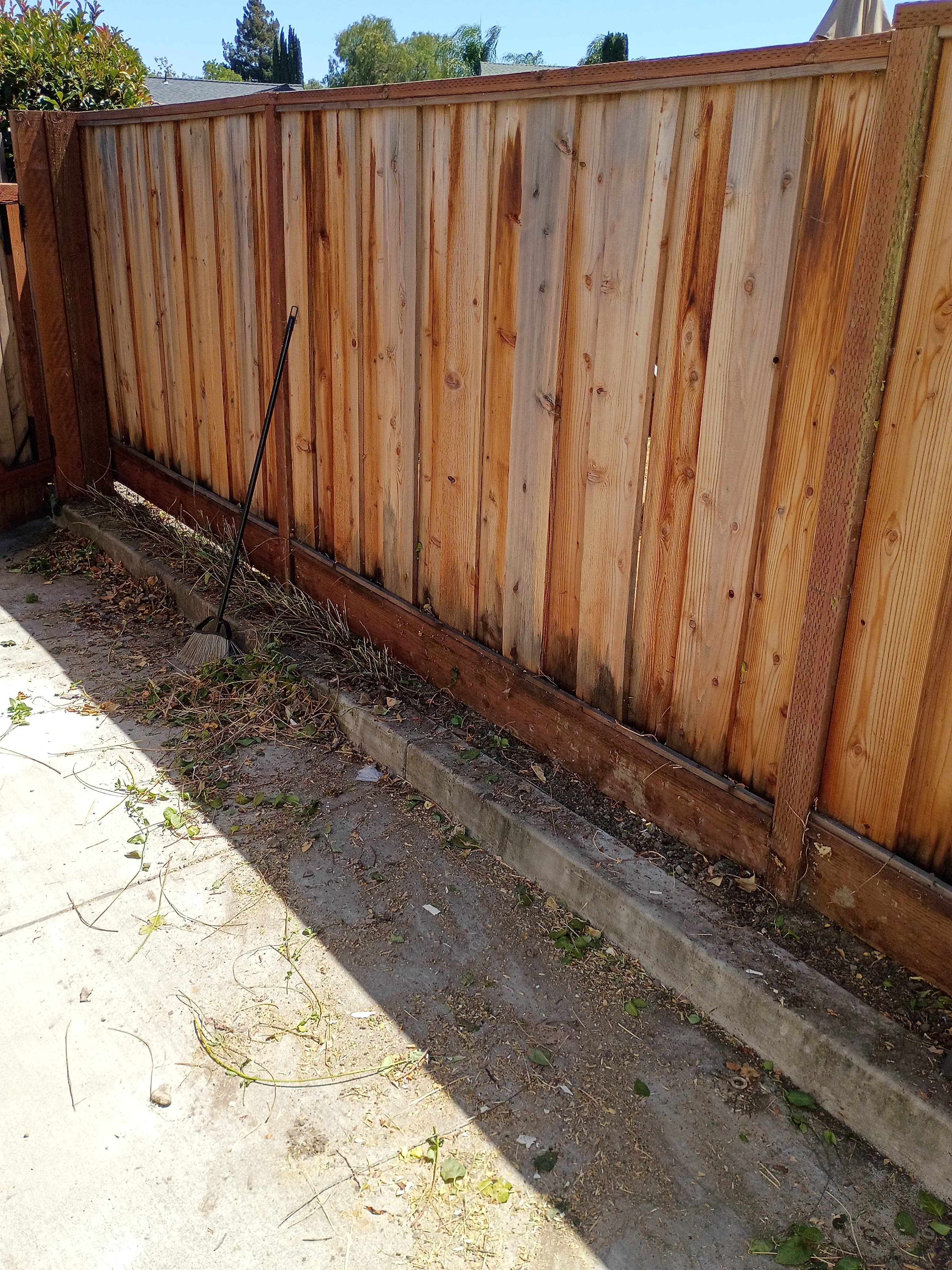 San Ramon Backyard after 1