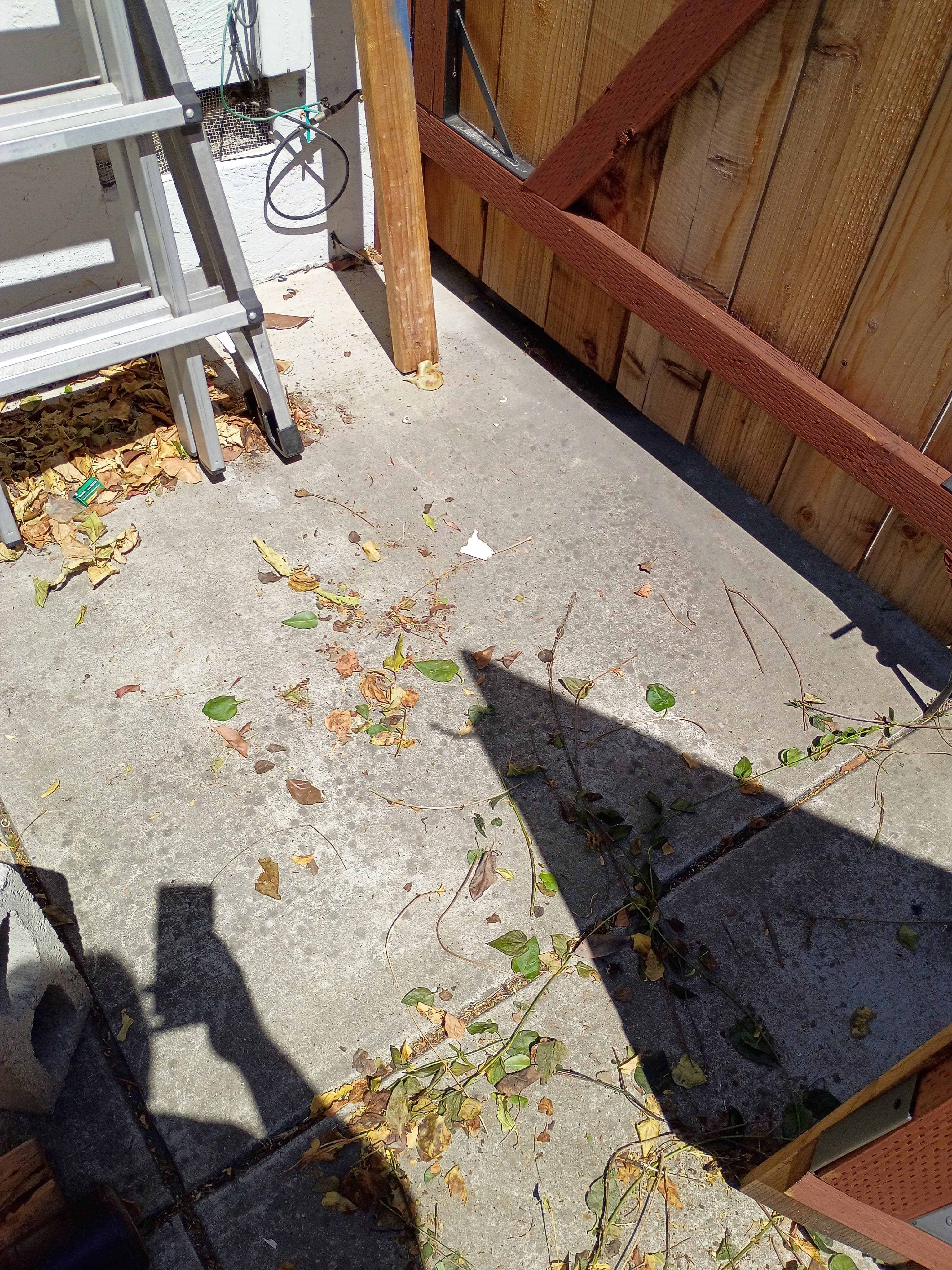 San Ramon Backyard after 2