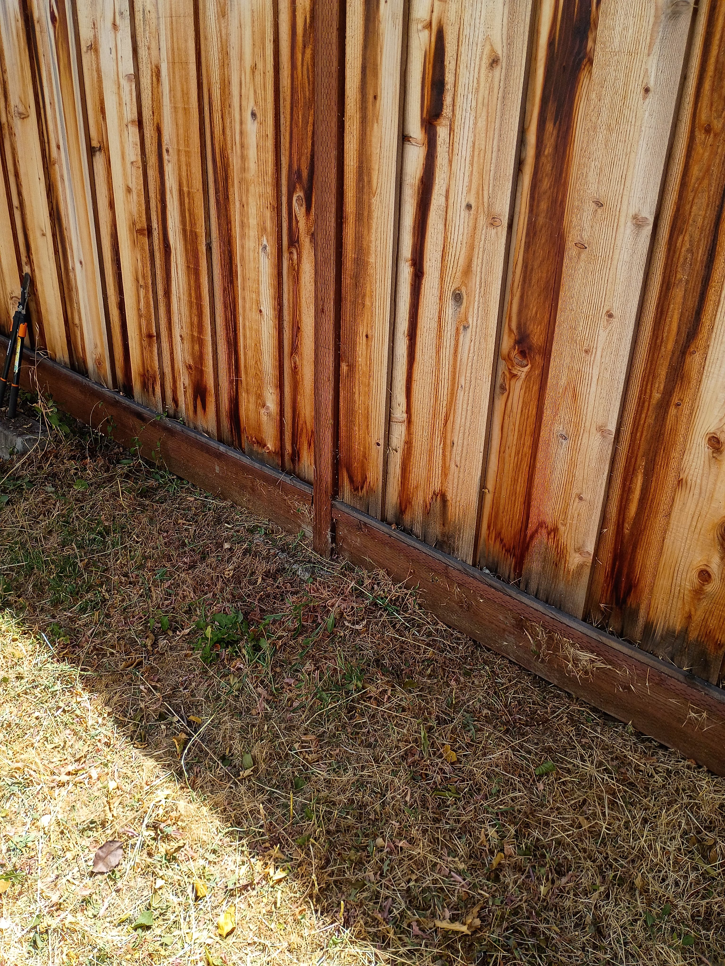 San Ramon Backyard before 2